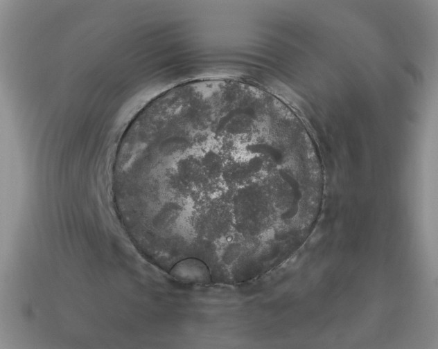 X0000114130337200910221509