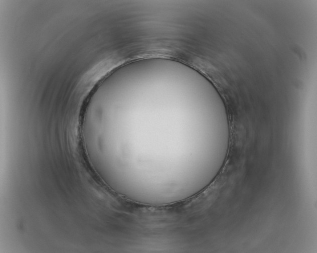 X0000114130338200910221509