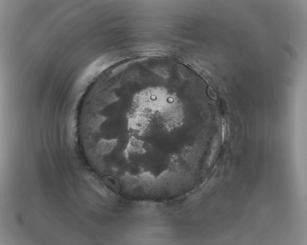 X0000114130339200910221509