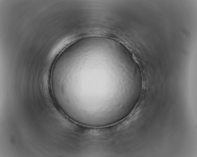 X0000114130341200910221509