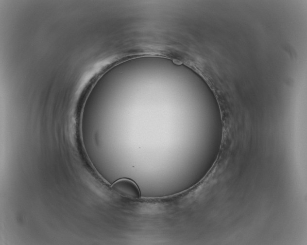 X0000114130342200910221509