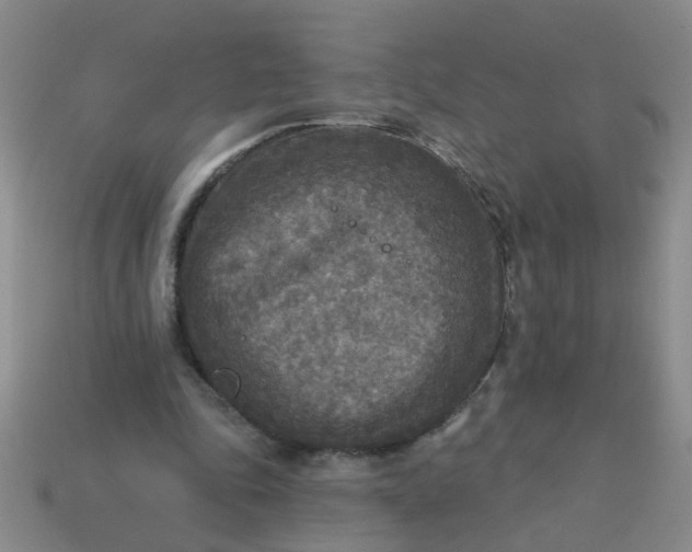 X0000114130343200910221509