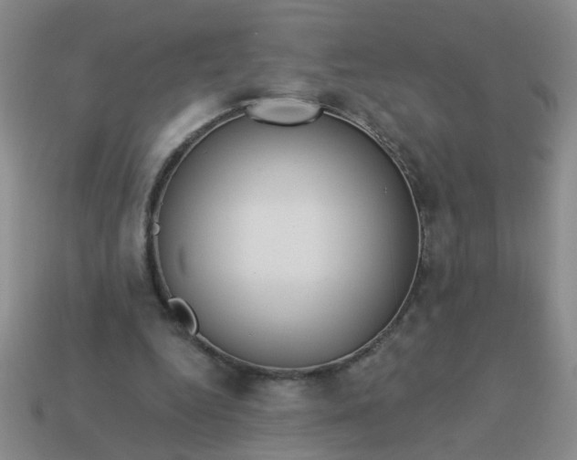 X0000114130344200910221509