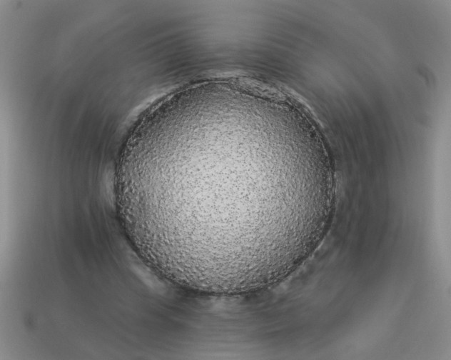 X0000114130345200910221509