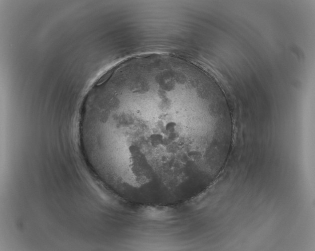 X0000114130346200910221509