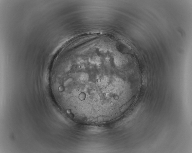 X0000114130347200910221509