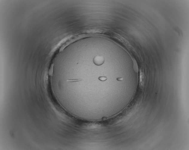 X0000114130348200910221509