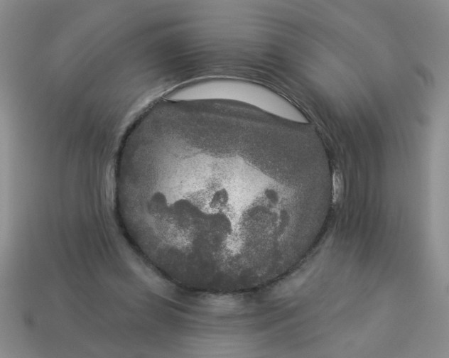 X0000114130349200910221509