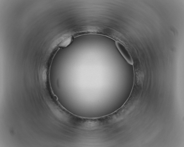 X0000114130350200910221509