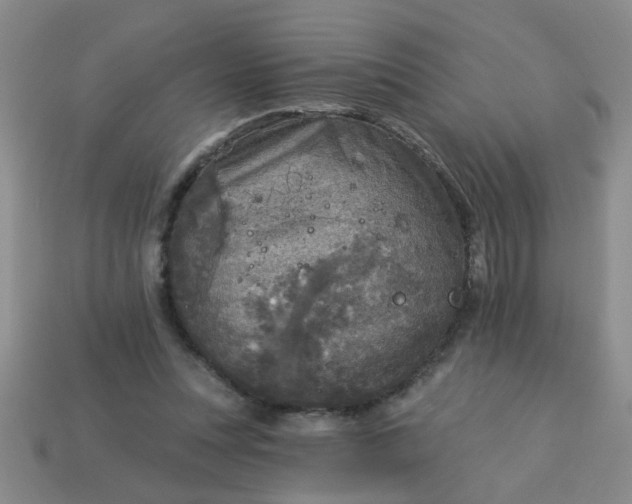 X0000114130351200910221509