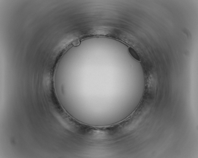 X0000114130352200910221509