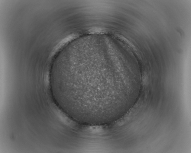 X0000114130353200910221509