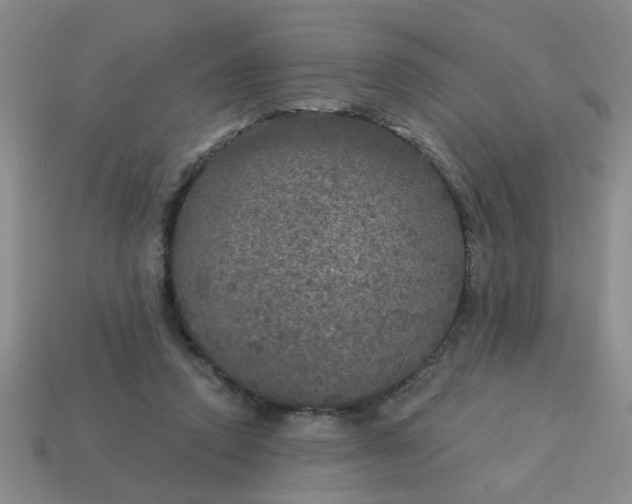 X0000114130354200910221509