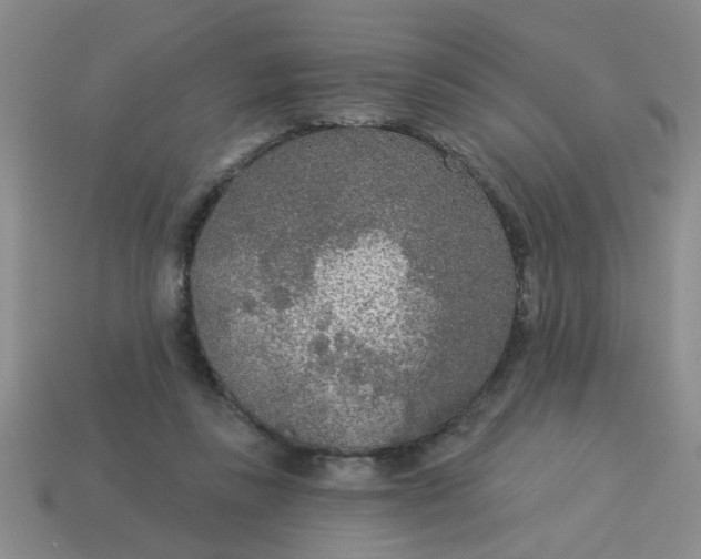 X0000114130355200910221509