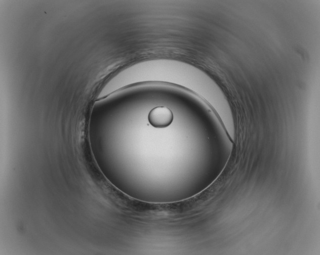 X0000114130356200910221509