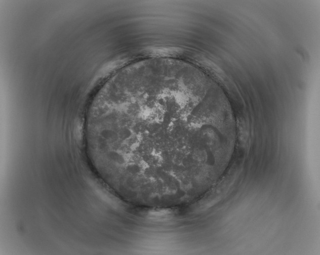 X0000114130357200910221509