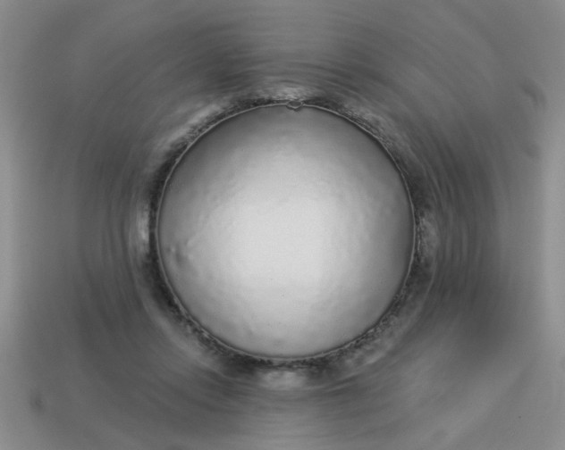 X0000114130358200910221509