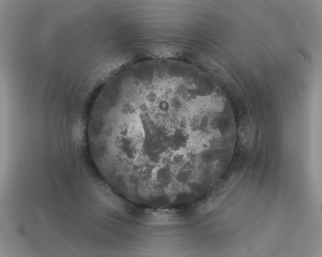 X0000114130359200910221509