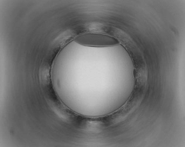 X0000114130360200910221509