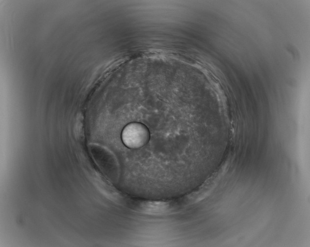 X0000114130361200910221509