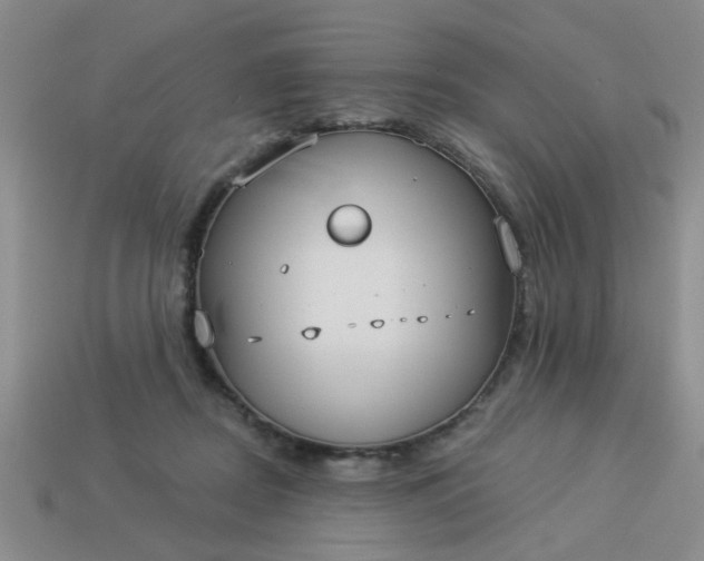 X0000114130362200910221509