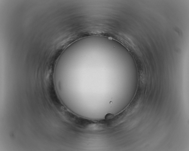 X0000114130364200910221509