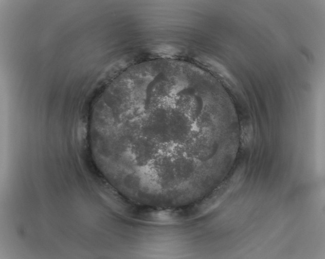 X0000114130365200910221509