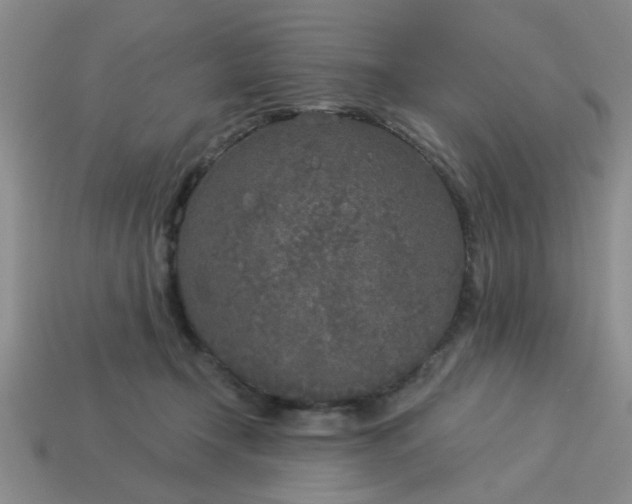 X0000114130366200910221509