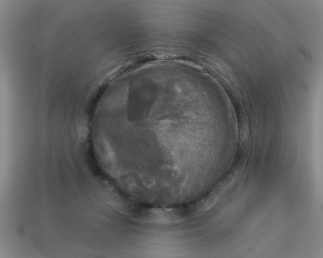 X0000114130367200910221509