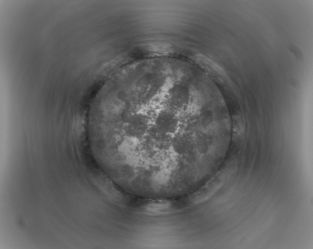 X0000114130369200910221509