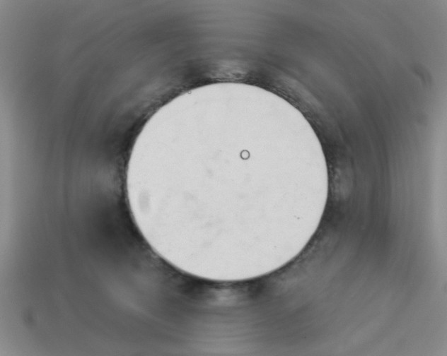 X0000114130370200910221509