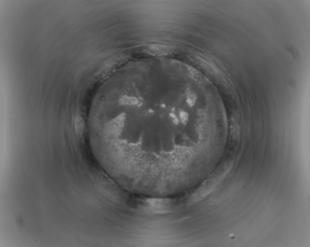 X0000114130371200910221509