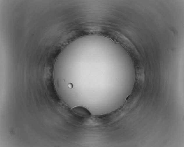 X0000114130372200910221509