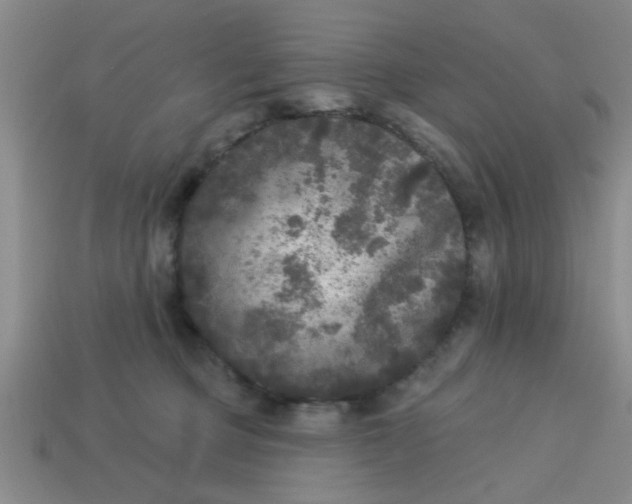 X0000114130373200910221509