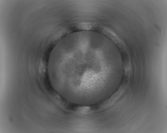 X0000114130374200910221509