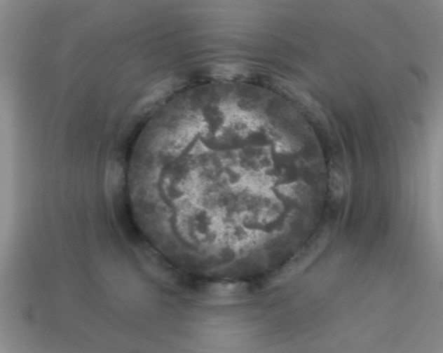 X0000114130375200910221509