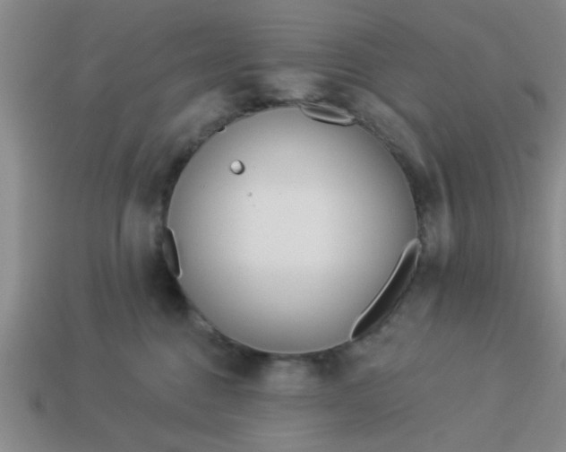 X0000114130376200910221509