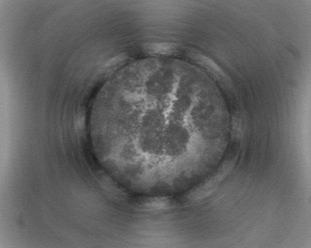 X0000114130377200910221509