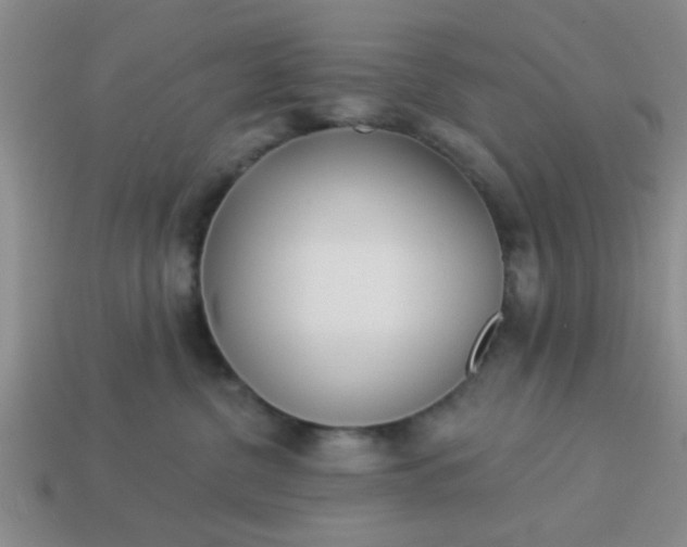 X0000114130380200910221509