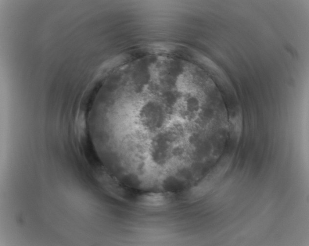 X0000114130381200910221509