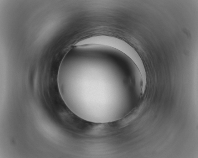 X0000114130382200910221509