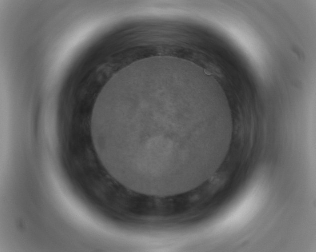 X0000114130383200910221509