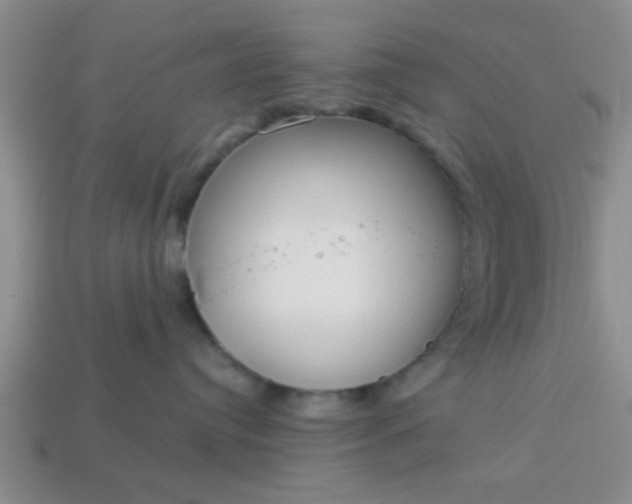 X0000114130384200910221510