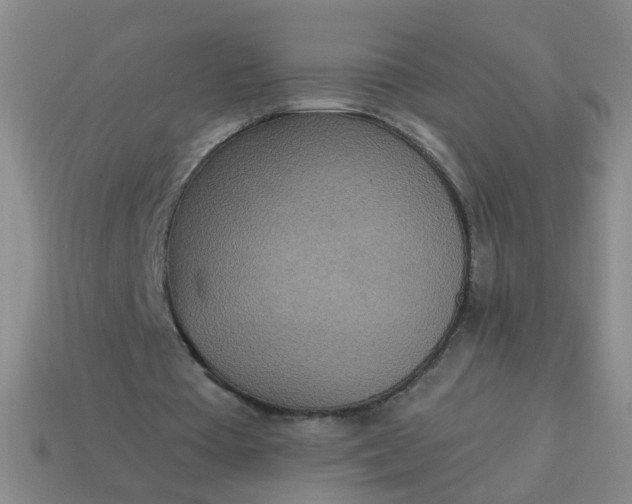 X0000114130385200910221509