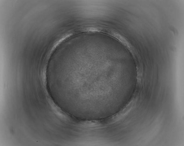 X0000114130386200910221509