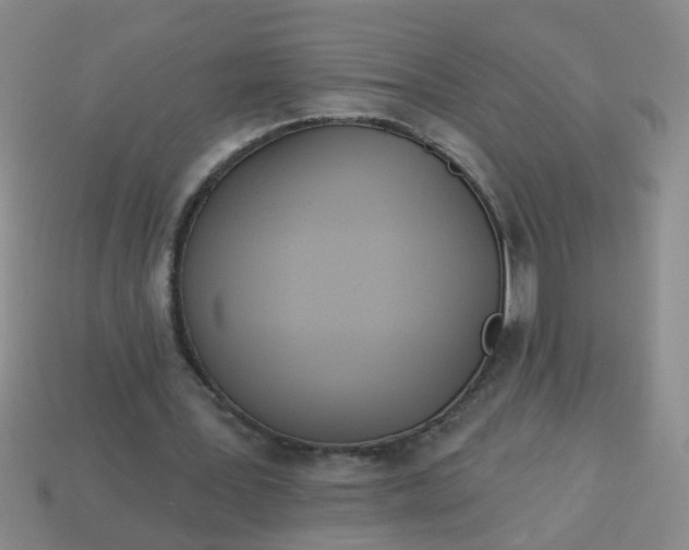 X0000114130387200910221509