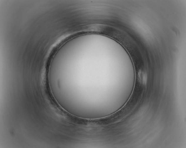 X0000114130388200910221509