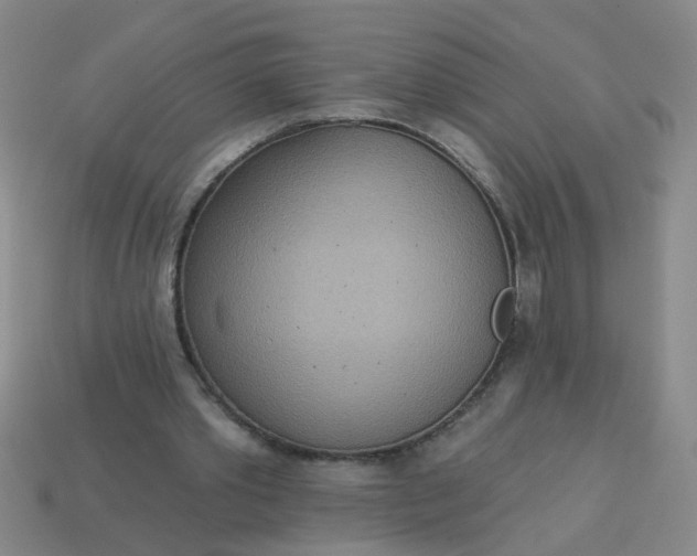 X0000114130389200910221509