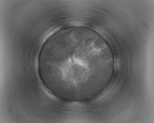 X0000114130390200910221509