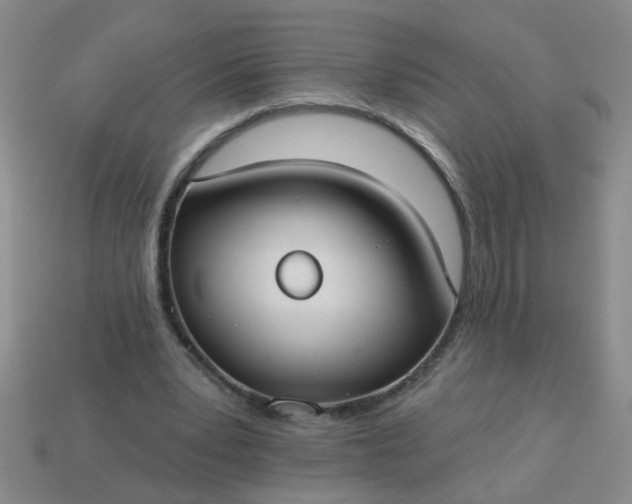 X0000114130391200910221509